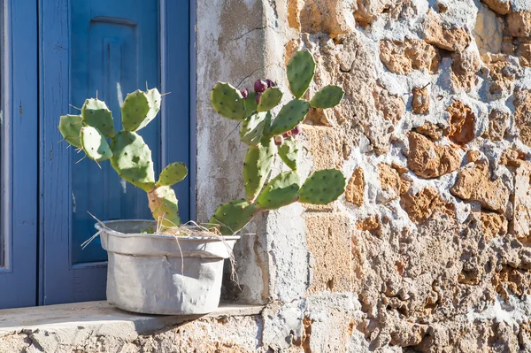 Angoli mediterranei — Foto Stock