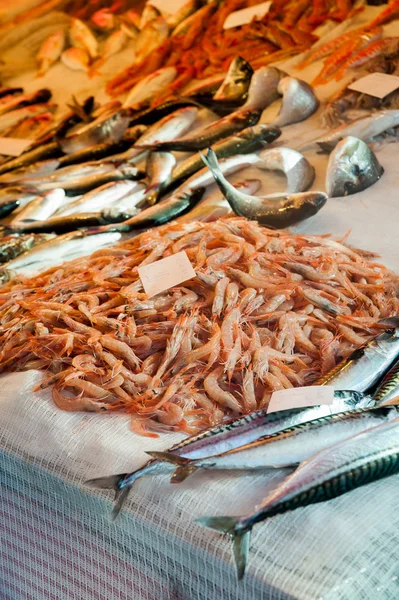 Marché aux poissons Catane — Photo