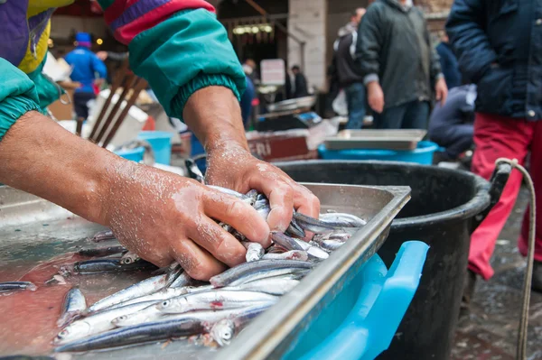 Marché aux poissons Catane — Photo