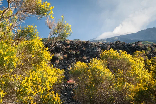 Etna landskap — Stockfoto