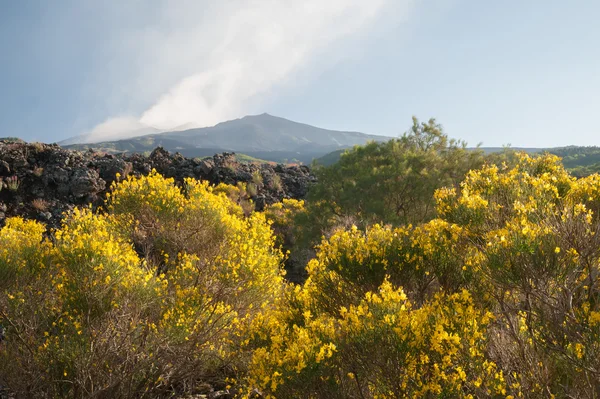 Etna landskap — Stockfoto