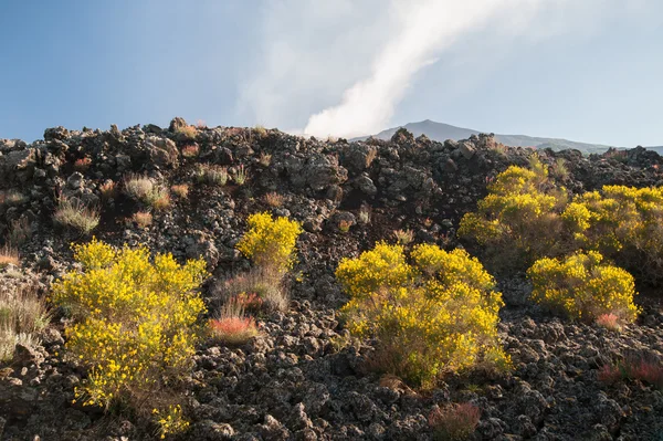 Etna landskap — Stockfoto