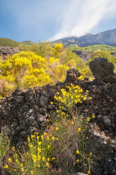 Etna paesaggi — Foto Stock