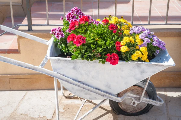 Old push cart with flowers — Stockfoto