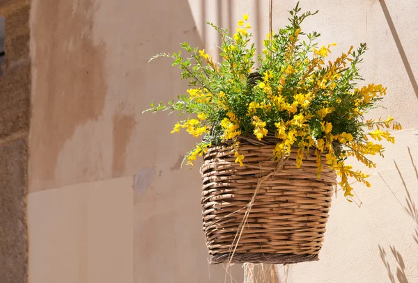 Flowered wicker basket — Stockfoto