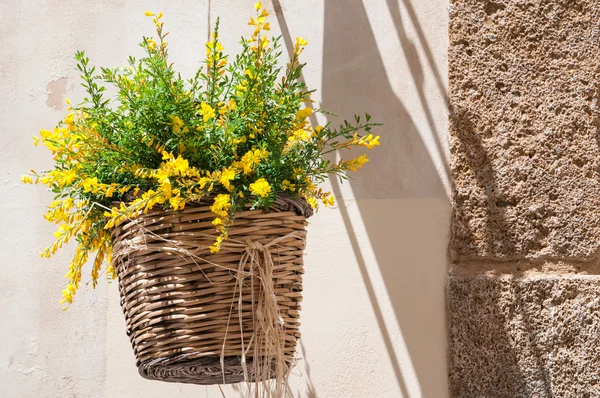 Flowered wicker basket — Stockfoto