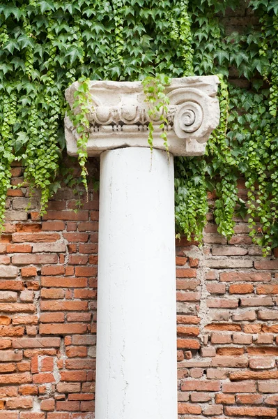 Vicenza landmarks — Stock Photo, Image