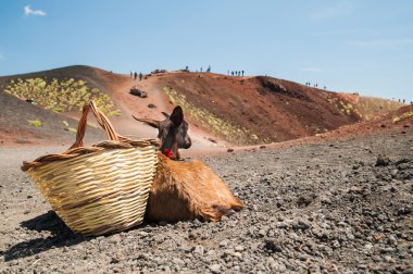 etna manzaralar