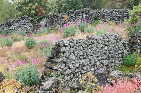 Lava stone ruins — Stock Photo, Image