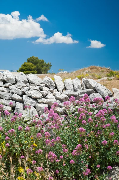 Dry stone wall — Stock Photo, Image