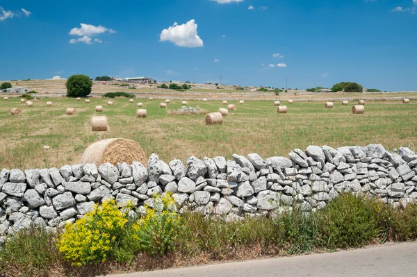 Sicily landscapes — Stock Photo, Image