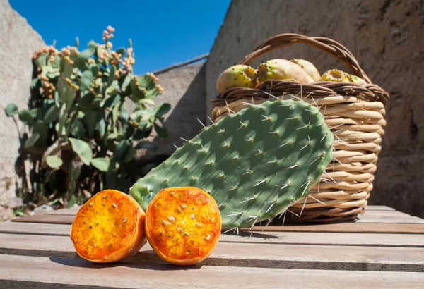 Harvest time — Stock Photo, Image