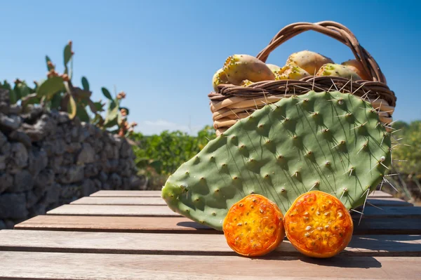 Tempo di raccolta — Foto Stock