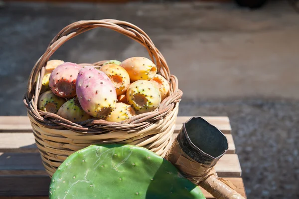 Erntezeit — Stockfoto