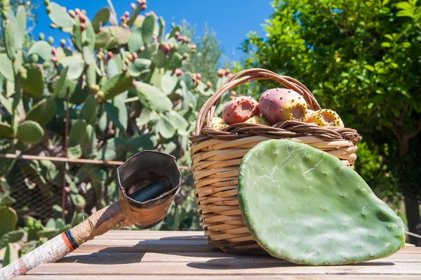 Erntezeit — Stockfoto