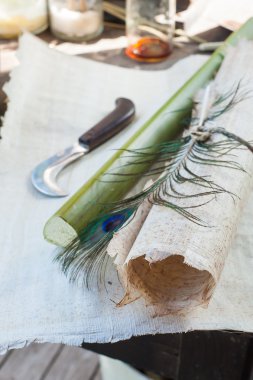 papirüs kağıdı