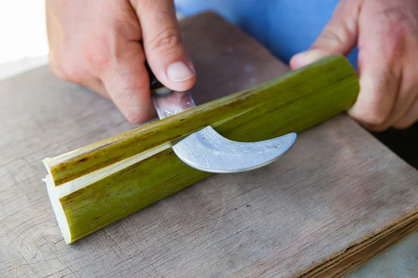 Das Funktionieren von Papyrus — Stockbild Das Funktionieren von Papyrus Stockfoto