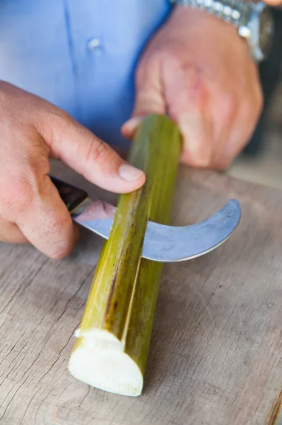 Das Funktionieren von Papyrus — Stockbild Das Funktionieren von Papyrus Stockbild