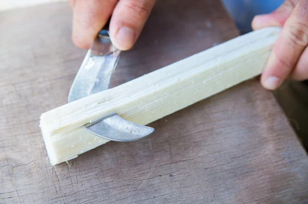 Das Funktionieren von Papyrus — Stockbild Das Funktionieren von Papyrus lizenzfreie Stockbilder