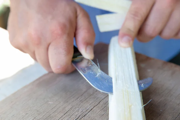 Das Funktionieren von Papyrus — Stockbild Das Funktionieren von Papyrus lizenzfreie Stockfotos