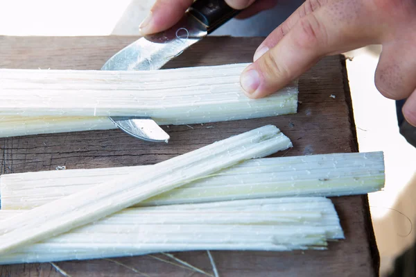 Das Funktionieren von Papyrus — Stockbild Das Funktionieren von Papyrus Stockbild