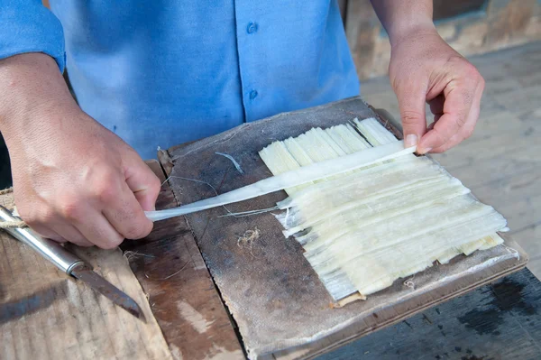 Das Funktionieren von Papyrus — Stockbild Das Funktionieren von Papyrus Stockbild