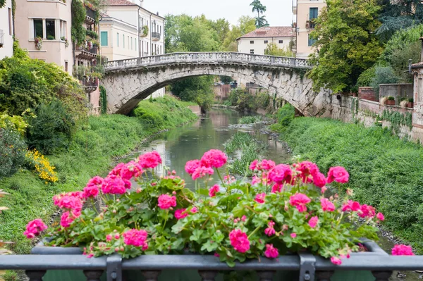 Vicenza' tarihi köprüler — Stok fotoğraf