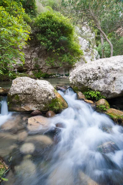 River in a canyon — Stock Photo, Image