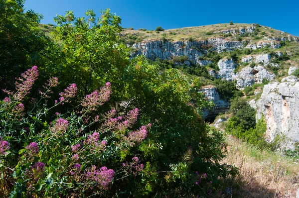 Canyon di una riserva naturale — Foto Stock