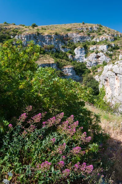 Canyon di una riserva naturale — Foto Stock