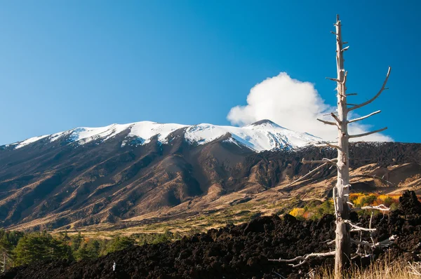 Etna tájak ősszel — Stock Fotó