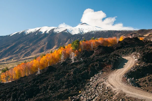 Paisagens Etna durante o outono — Fotografia de Stock