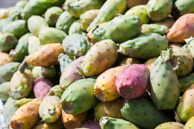 Bastardoni meyve Satılık