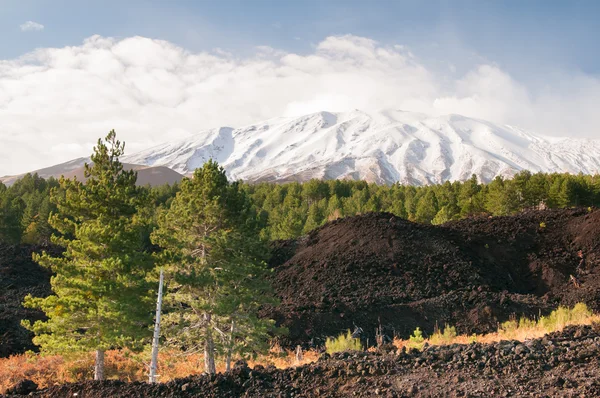 Paesaggi dell'Etna — Foto Stock