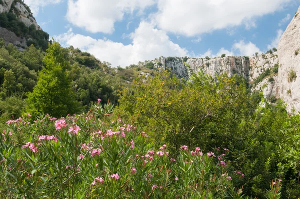 Valle di Cavagrande, Sicilia — Foto Stock