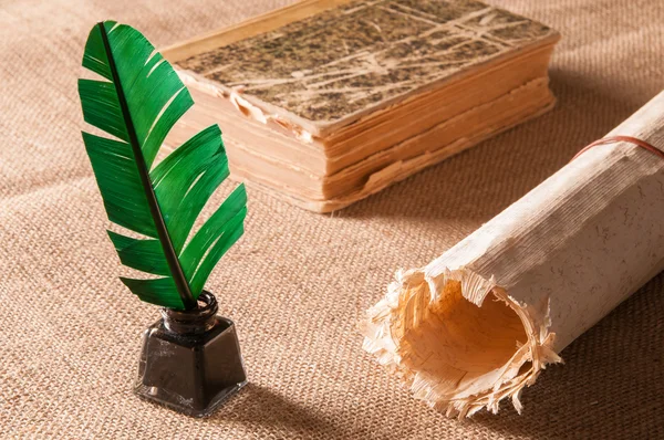 Pluma de pluma y hoja de papiro — Foto de Stock