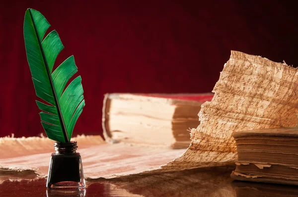 Перо и лист папируса — стоковое фото