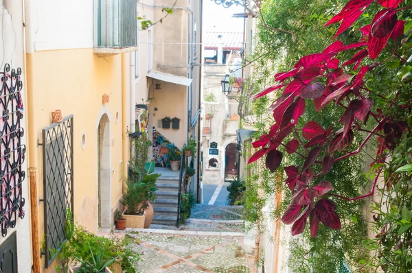 Taormina characteristic corners — Stock Photo, Image