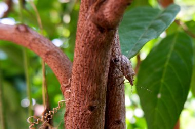 dijital soyut sıvı fırça sıçrama arkaplanı