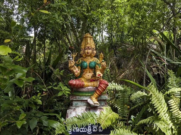 Lang Uitzicht Godin Sri Gayatri Devi Idool Geïsoleerd Natuurlijke Boog — Stockfoto
