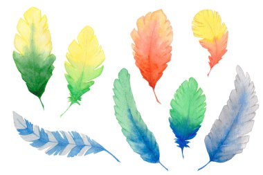 Beyaz üzerinde yeşil, sarı ve kırmızı elementler bulunan suluboya tüy seti. El çizimi illüstrasyon.