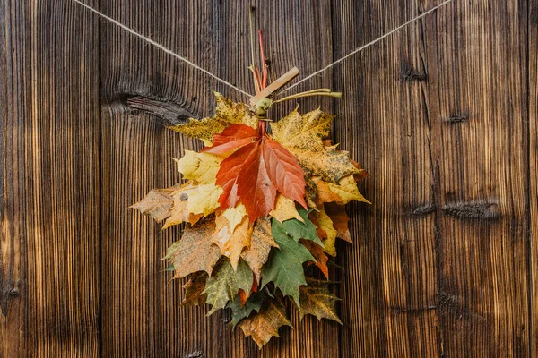 Набор Красивых Красочных Осенних Листьев Изолированных Темно Коричневом Дереве Осенние — стоковое фото