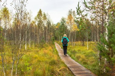 Yalnız kız doğal bir yolda yürüyor. Sonbahar mevsimi. Açık hava sporu. Sosyal mesafe. Aktif sırt çantalı gezgin renkli doğa yürüyüşü. Sonbaharda sıcak, güneşli bir gün. Parlak sarı ve turuncu sonbahar renkleri