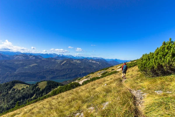 Active man hiking on the peak of Alps, Austria.Backpacker enjoying view of mountain panorama and lake.Hiking on bright sunny summer day.Wanderlust travel scene.Sporty male standing on summit