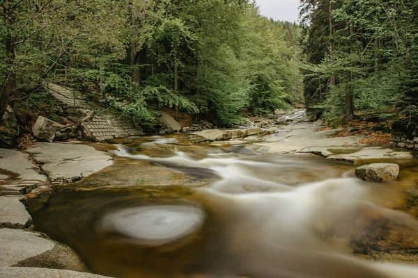 Kalte Quelle Fluss Bach Einer Waldlandschaft Steine Mit Moos Bedeckt — Stockfoto