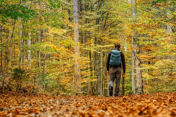Hombre Solitario Caminando Camino Del Bosque Temporada Otoñal Solo Deporte — Foto de Stock