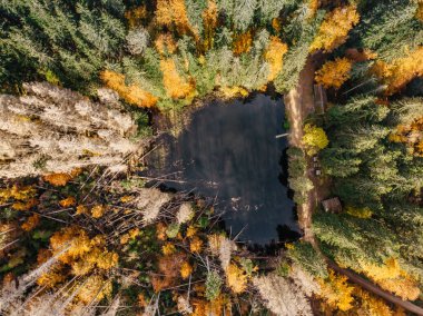 Göl manzaralı sonbahar ormanı, Sumava, Çek Cumhuriyeti. Renkli doğa arka planı. İdilik sonbahar insansız hava aracı manzarası kuş bakışı.