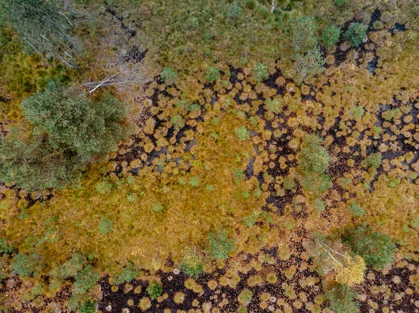 Повітряний Вид Торф Яного Болота Озером Зелені Оранжеві Мохи Sumava — стокове фото