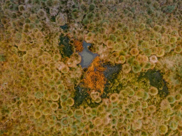 Vista Aerea Del Modello Torbiera Con Lago Muschi Arancioni Verdi — Foto Stock