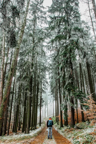 Mochilero Solitario Caminando Bosque Nevado Congelado Paisaje Panorámico Invierno Con — Foto de Stock
